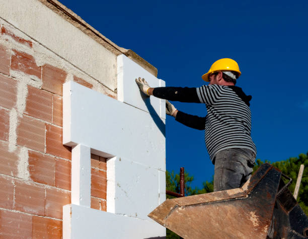 Best Residential Insulation in Milaca, MN
