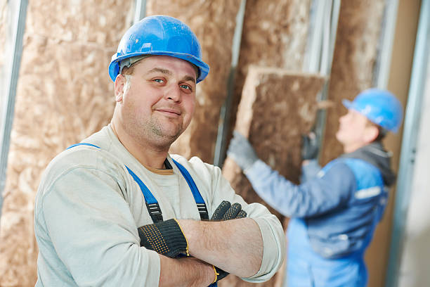 Best Insulation Installation Services in Milaca, MN