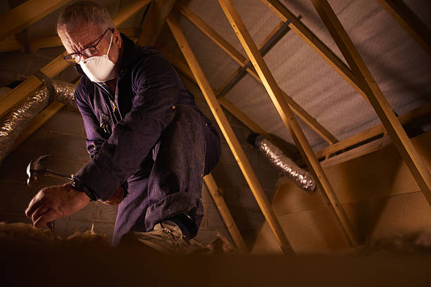 Best Insulation Installation Services in Milaca, MN
